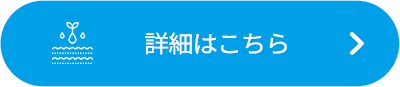 詳細はこちら