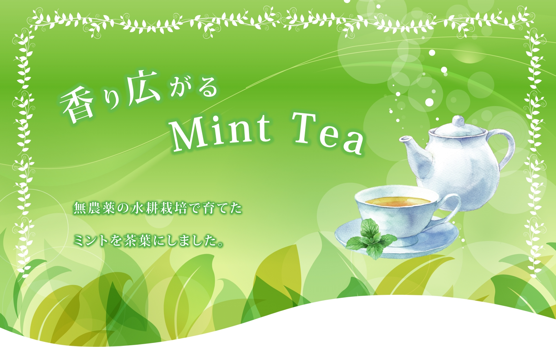香り広がるMint Tea　無農薬の水耕栽培で育てたミントを茶葉にしました。
