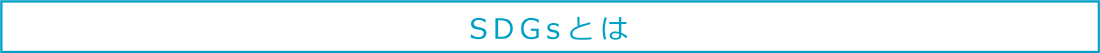S D G s とは